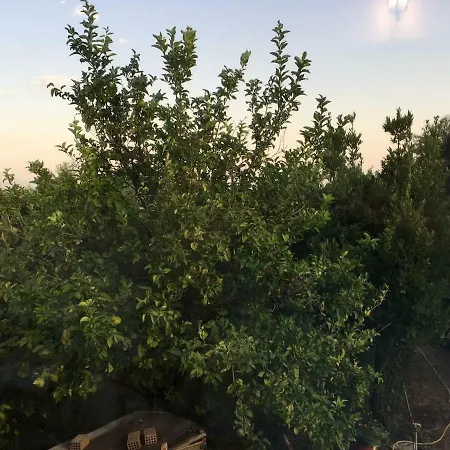 Tranquil 20 Minutes From Sea-stunning View * Draina Mesinia
